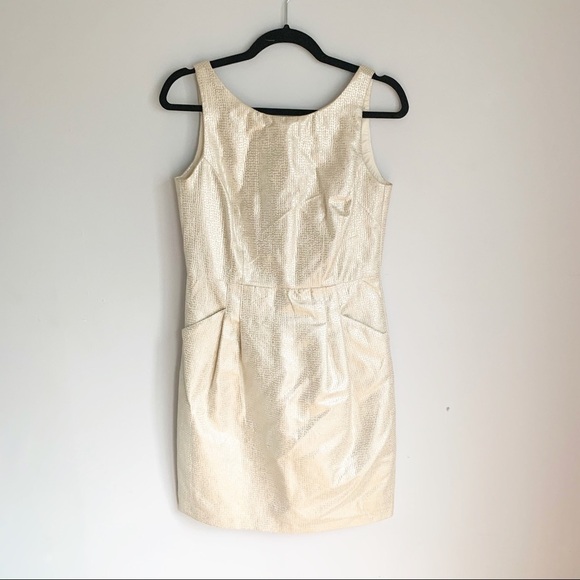 Dalia Dresses & Skirts - Dalia Cream And Silver Sheath Dress Size 2